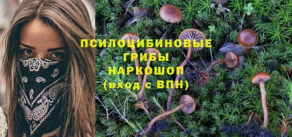 соль курить ск Переславль-Залесский
