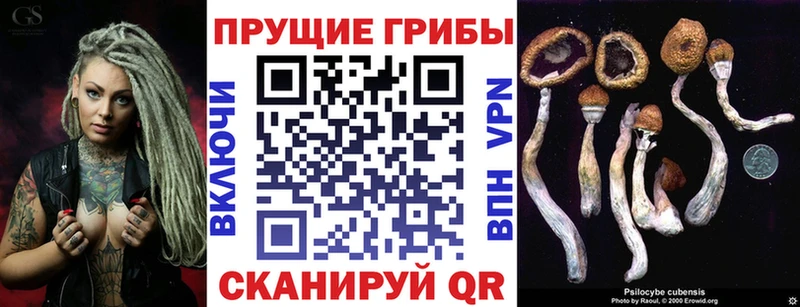 Псилоцибиновые грибы прущие грибы  Краснотурьинск 