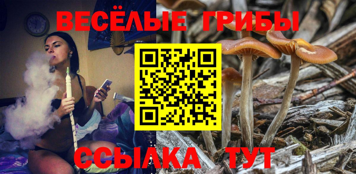 Псилоцибиновые грибы Magic Shrooms  Вход с VPN  Краснотурьинск 