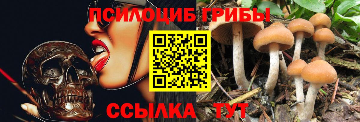 Псилоцибиновые грибы Magic Shrooms Краснотурьинск