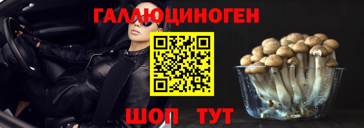 Псилоцибиновые грибы Psilocybe  Псилоцибиновые грибы GOLDEN TEACHER  Краснотурьинск 